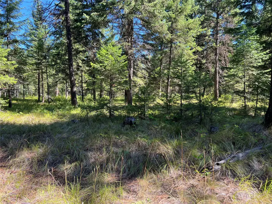 77 Trestle Creek Drive, Saint Regis, MT 59866 - Image #3