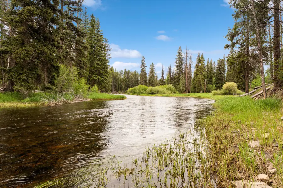 752 Grizzly Drive, Seeley Lake, MT 59868 - #3