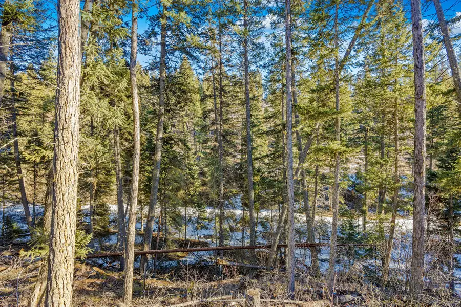 Nhn N Dayton Creek Road, Proctor, MT 59929 - Image #2