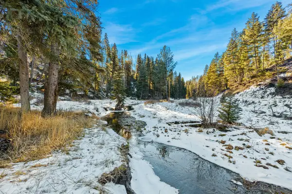 Nhn N Dayton Creek Road, Proctor, MT 59929