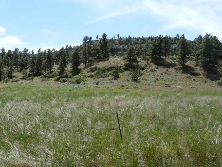 115 Red And King Gulch Road, Laurel, MT 59044 - #2