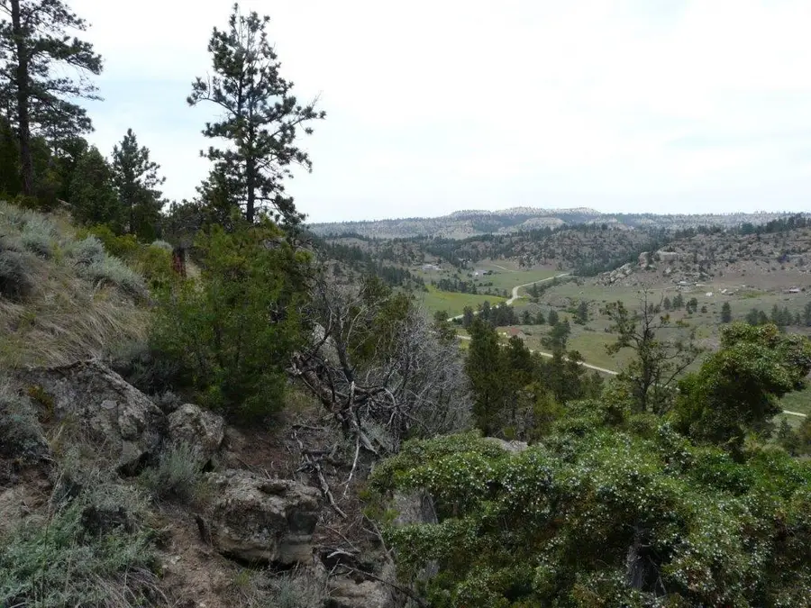 115 Red And King Gulch Road, Laurel, MT 59044 - #3