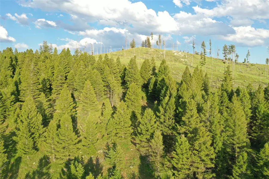 Tract 1,2,3,16 Garnet Range, Drummond, MT 59832 - #3