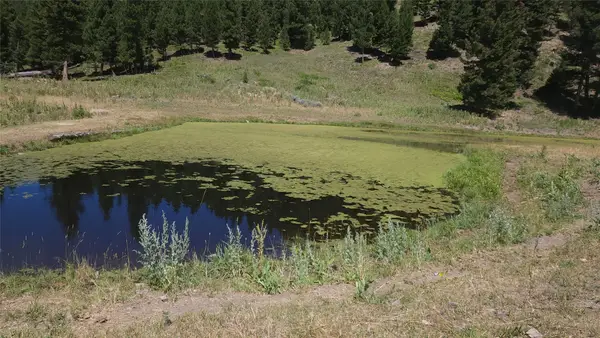 Tract 8,9,10 Garnet Range, Drummond, MT 59832