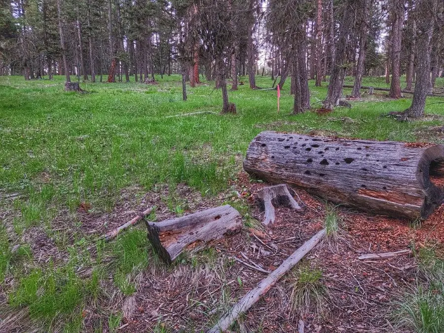289 Seclusion Point, Seeley Lake, MT 59868 - #3