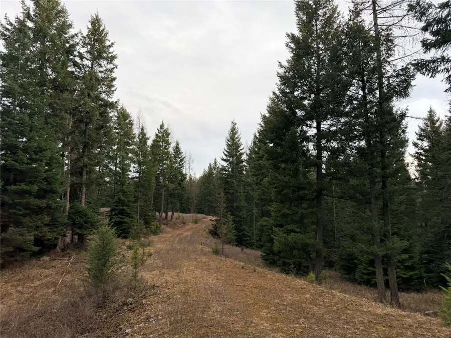 55 Wild Turkey Lane, Kalispell, MT 59901 - Image #3