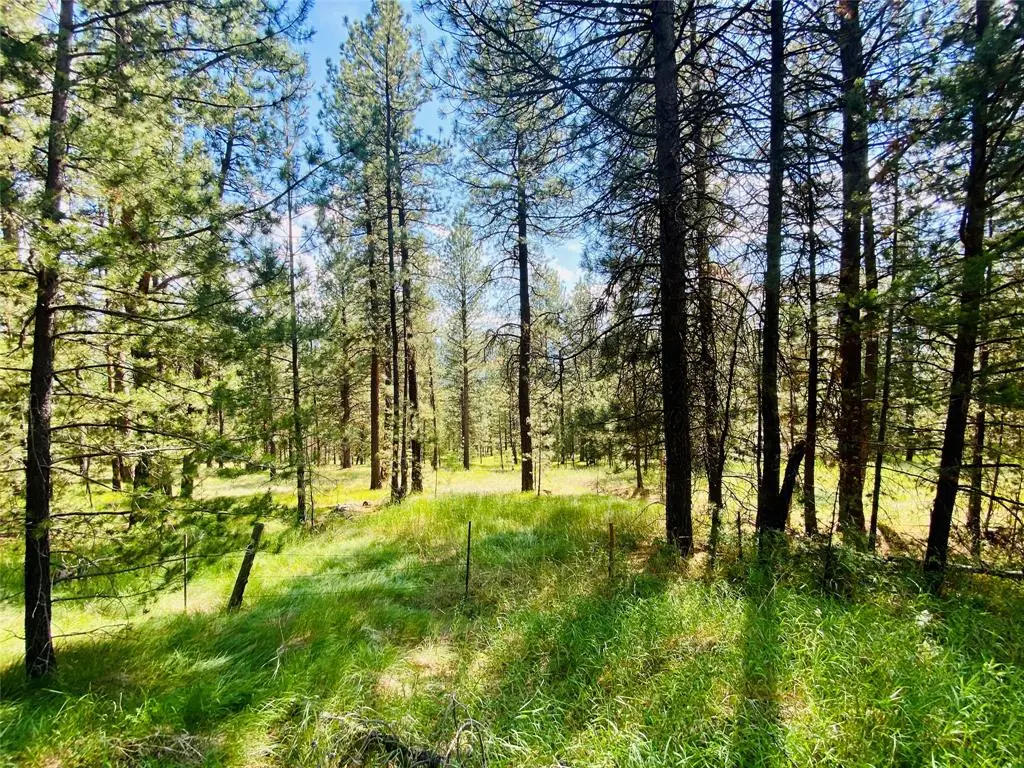 2890 Lower Lost Prairie Road, Marion, MT 59925 - #1