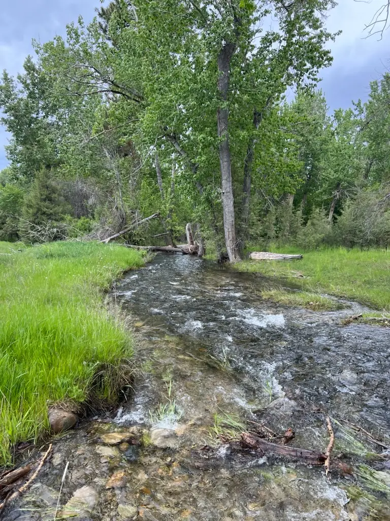 Lot 32-A Drovers Trail, Stevensville, MT 59870 - #2