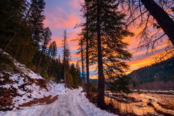 Nhn Hope Valley Road, Trout Creek, MT 59874