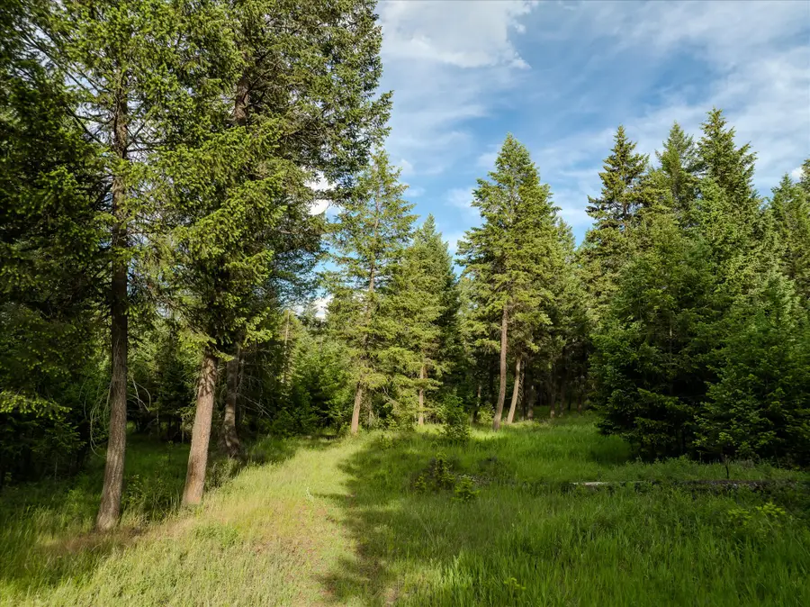 109 Lidstrom Road, Whitefish, MT 59937 - Image #3