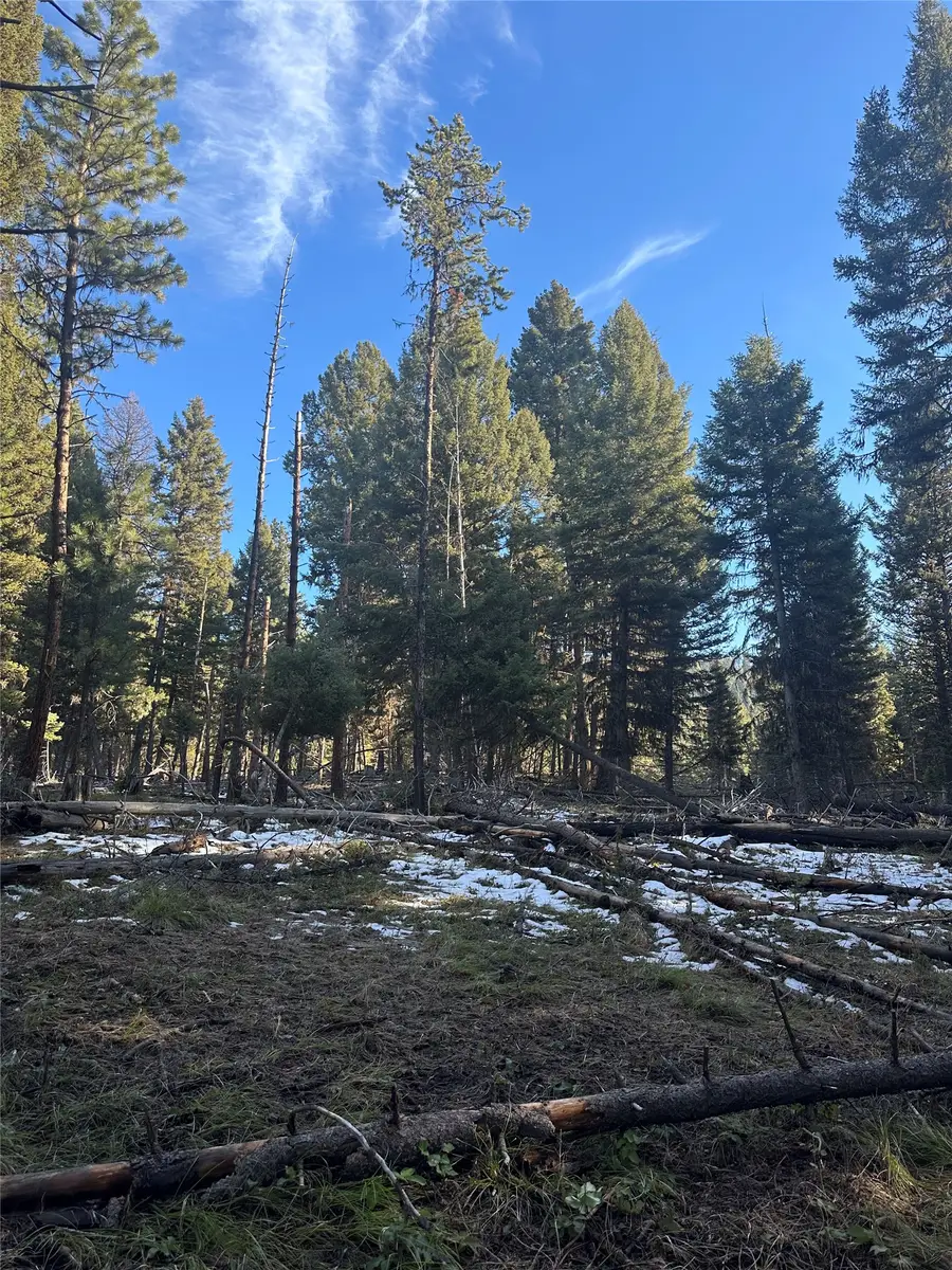 1274 Grandview Drive, Seeley Lake, MT 59868 - #2