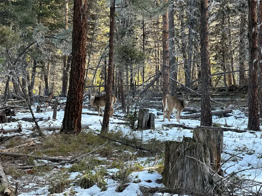 1274 Grandview Drive, Seeley Lake, MT 59868 - #3