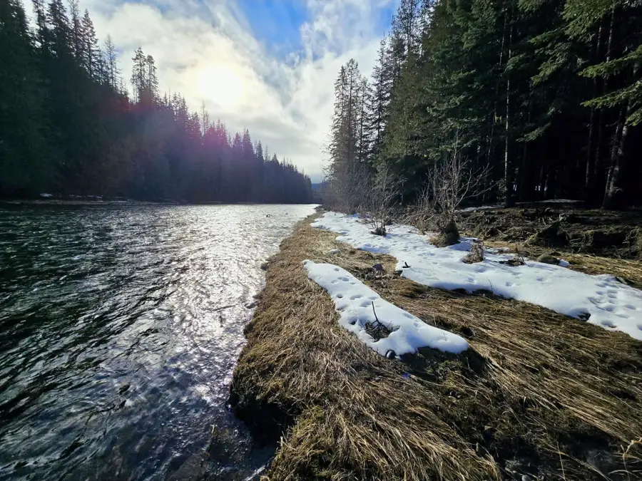 401 Western Larch Lane, Yaak, MT 59935 - #2