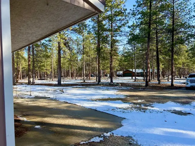 823 Little Lion Road, Hamilton, MT 59840 - #2