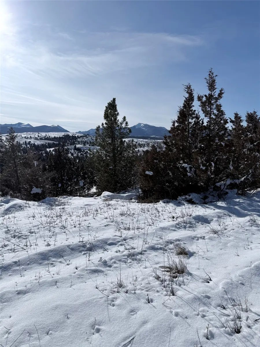 Lot 19A Willow Creek Road, Deer Lodge, MT 59722 - #3