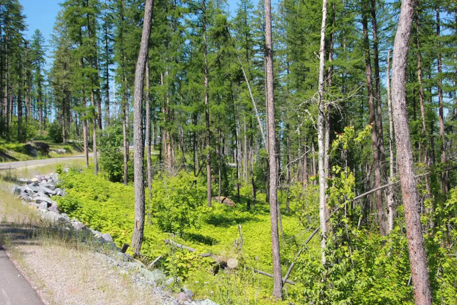 237 Timberjack Trail, Bigfork, MT 59911 - #3