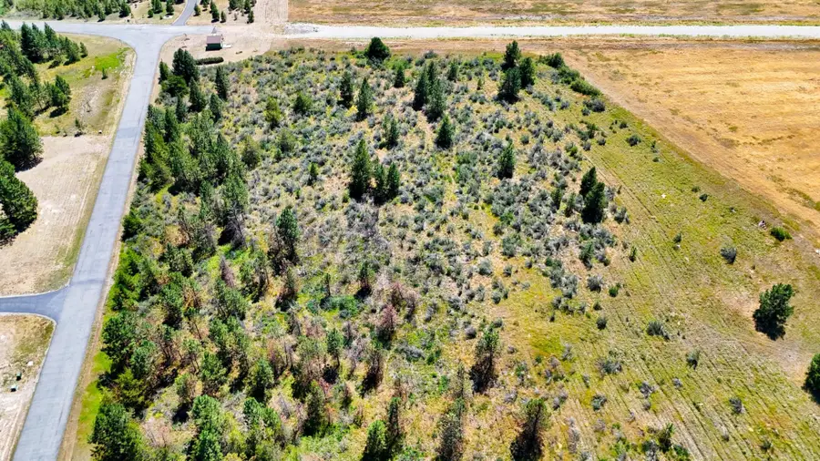Lot 4 Harbine Ranch Road, Plains, MT 59859 - #2