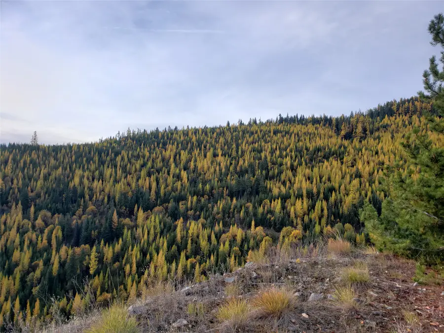 TBD Nine Mile Road, Huson, MT 59846 - #2