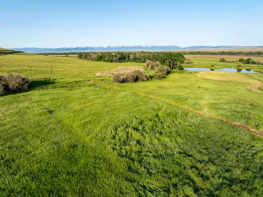 91 Porcupine Road, Wilsall, MT 59086 - #3