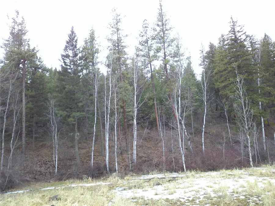 NHN Browns Meadow Road, Niarada, MT 59845 - #3