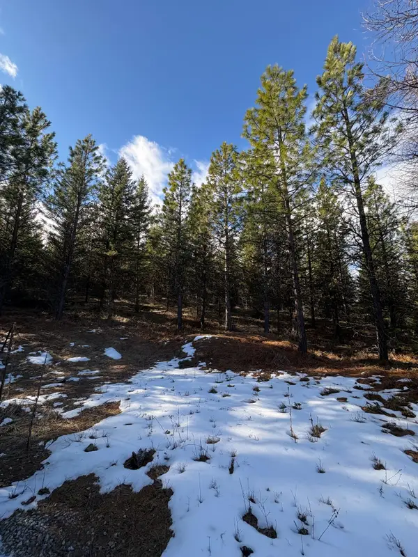 Lot 5 Panoramic View Drive, Libby, MT 59923