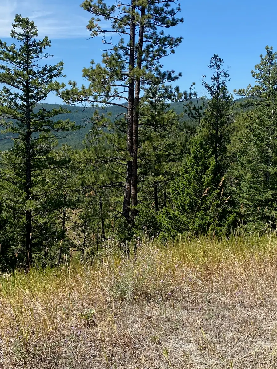 1444 Haskill Ranch Road, Kila, MT 59920 - #2