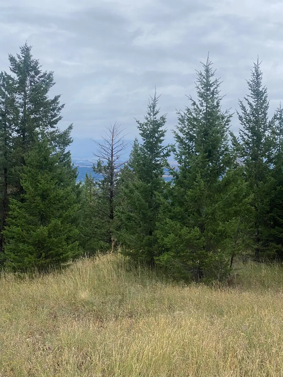 1444 Haskill Ranch Road, Kila, MT 59920 - #3