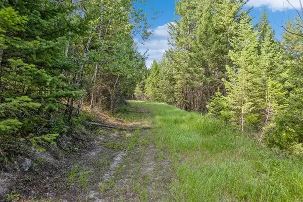 NHN Haywire Gulch, Kalispell, MT 59901