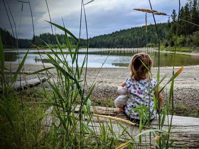 776 Summerville Road, Eureka, MT 59917 - #1