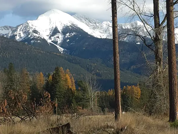 NHN Nhn Hollopeter Road, Condon, MT 59826