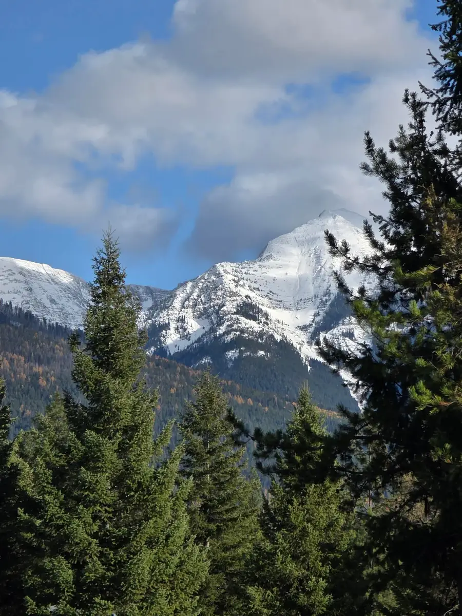 NHN Nhn Hollopeter Road, Condon, MT 59826 - #3