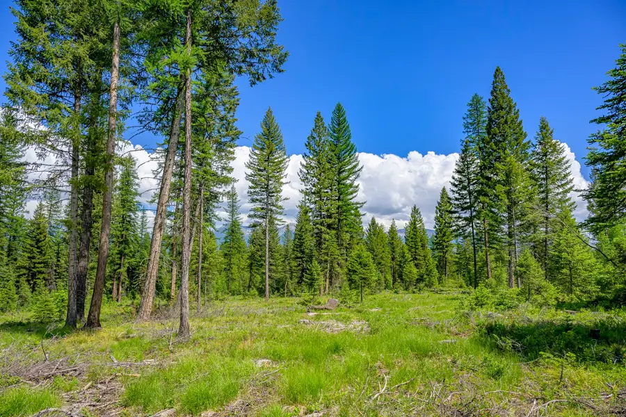 NHN Lindbergh Lake Road, Condon, MT 59826 - #2