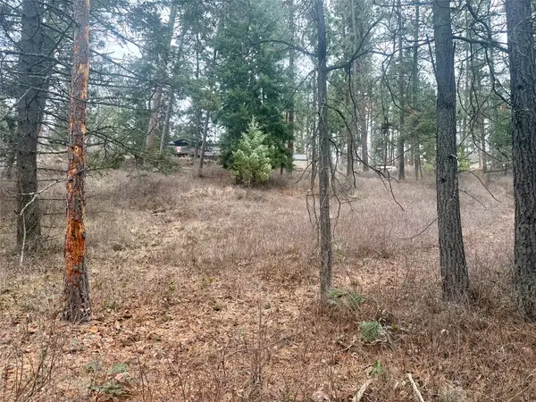 NHN Melita Island Lane, Polson, MT 59860