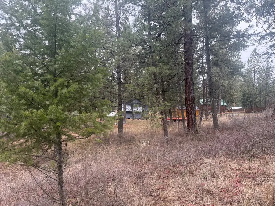 NHN Melita Island Lane, Polson, MT 59860 - #3