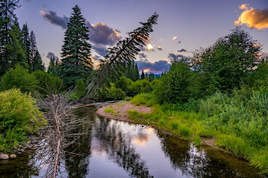 002 Route 83, Seeley Lake, MT 59868 - #3