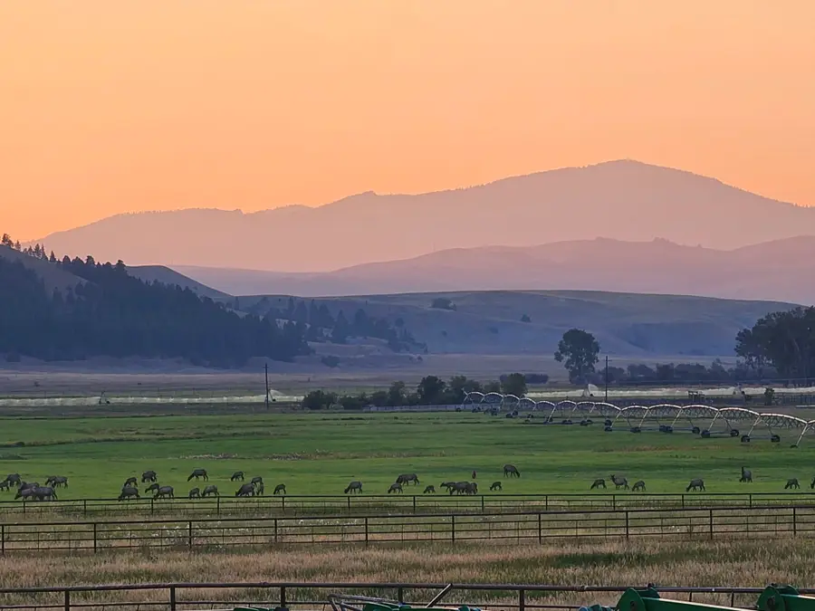 198 N Mullan Trail, Gold Creek, MT 59733 - #3