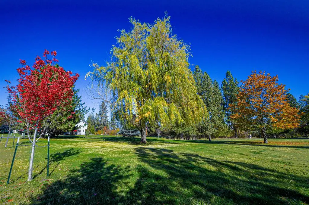 7980 Double Tree Lane, Missoula, MT 59804 - #1