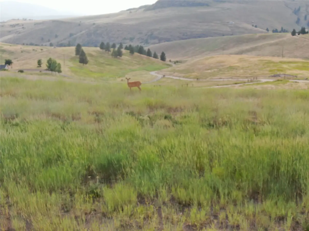 NHN Deemer Creek Road, Plains, MT 59859 - #1