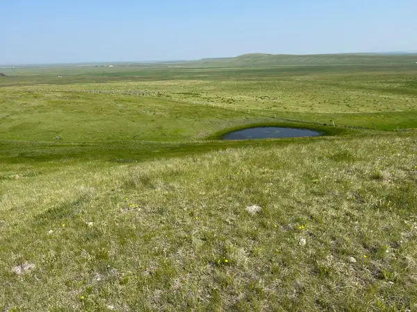 TBD U Bet Road, Buffalo, MT 59418