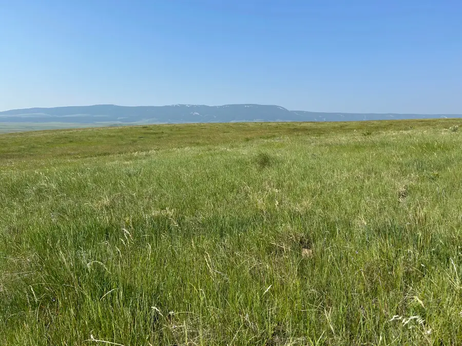 TBD U Bet Road, Buffalo, MT 59418 - #3