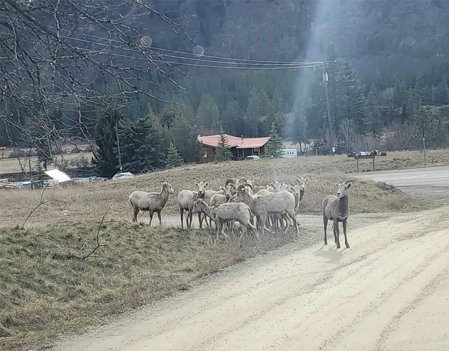 Lot 9 Henry Creek Meadows, Plains, MT 59859 - #3