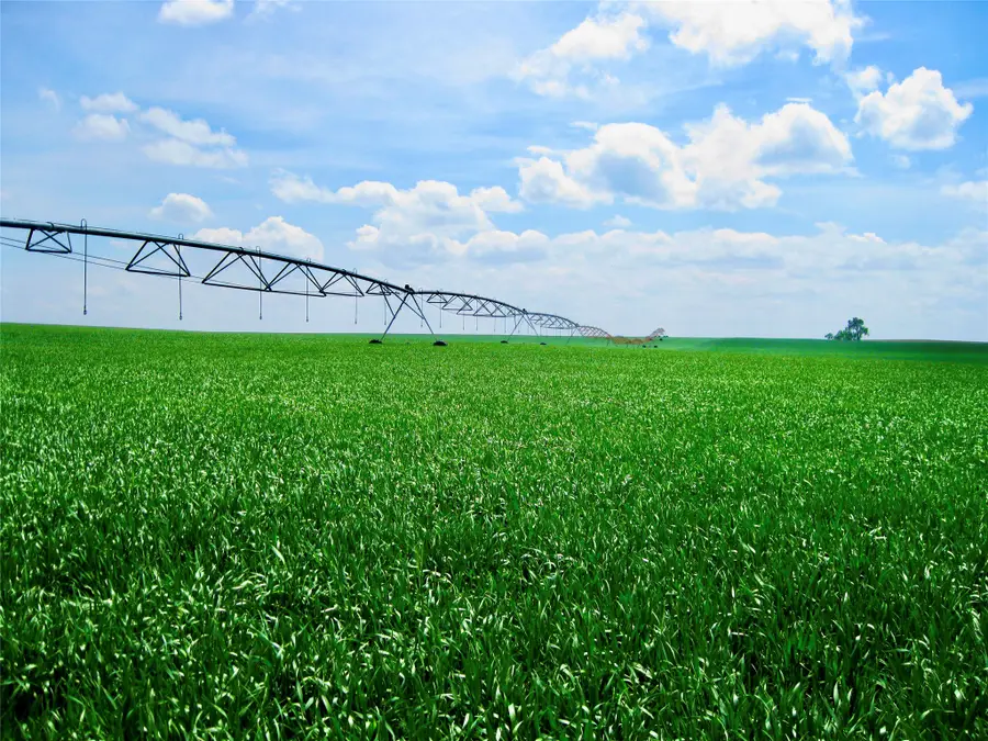 0 Buena Vista Road, Valier, MT 59486 - #3