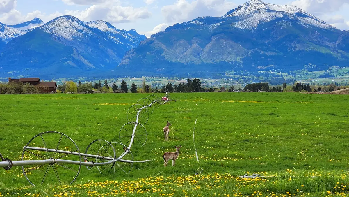 Lot D Prestige Way, Corvallis, MT 59828 - #1