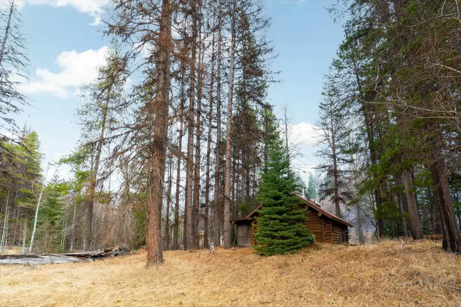 796 Tamarack Lane, Troy, MT 59935 - #3