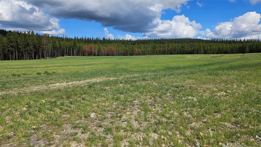 146 Discovery Loop, Marion, MT 59925 - #3