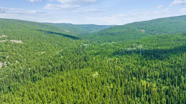 nhn Pinkham Road, Rexford, MT 59930