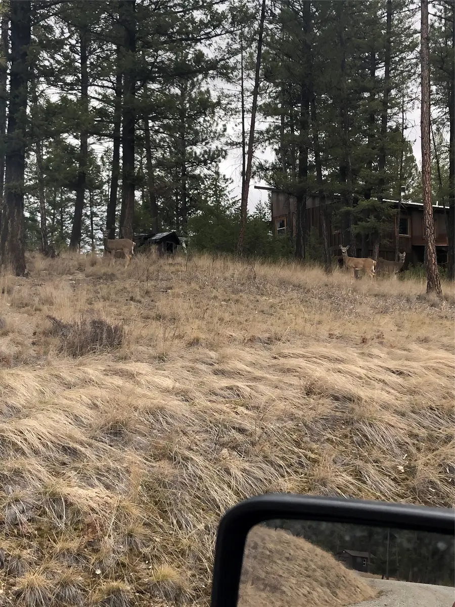 4144 Indian Creek Road, Eureka, MT 59917 - #2
