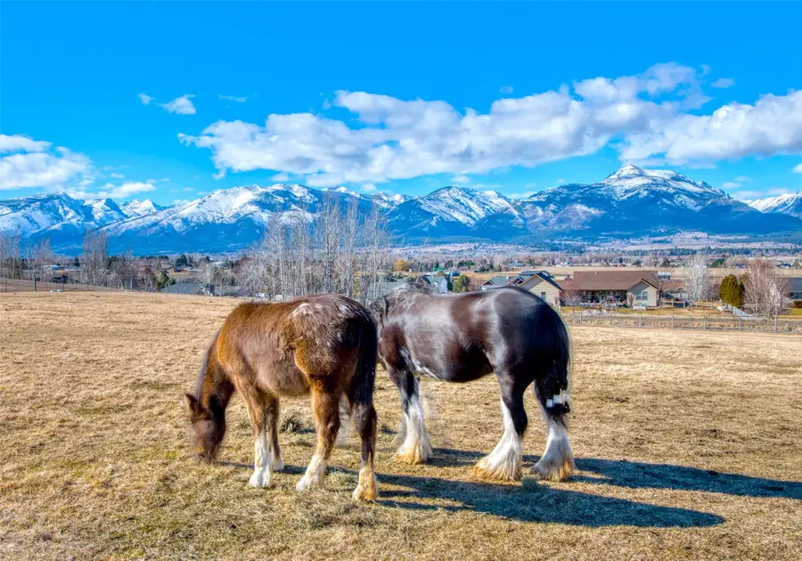 675 Warbler Lane, Corvallis, MT 59828 - #2