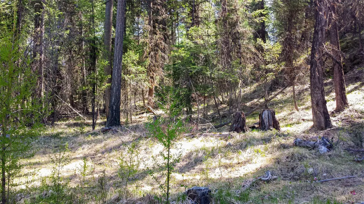 Lot 7 Whispering Pines, Fortine, MT 59918 - #1