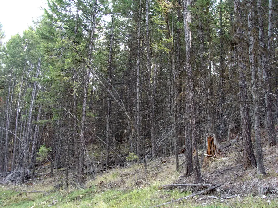 Lot 7 Whispering Pines, Fortine, MT 59918 - #2